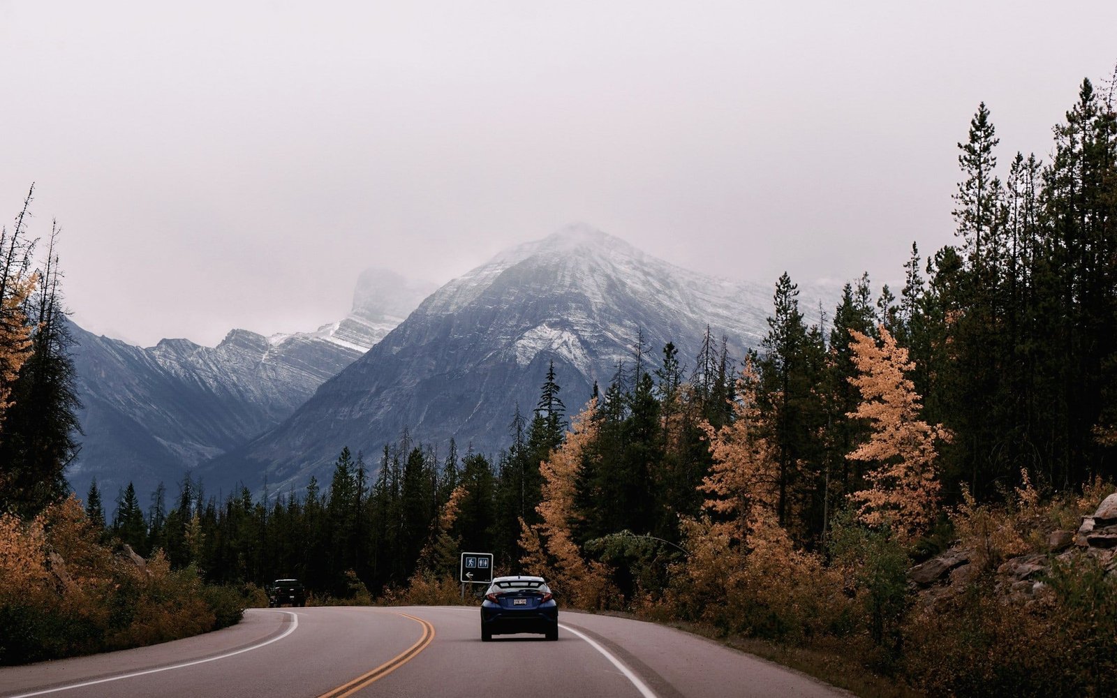 Car on a Rocky Mountains highway lined with golden larches